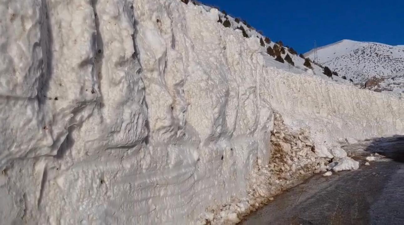 Whatsapp Image 2026 01 12 At 14.17.35