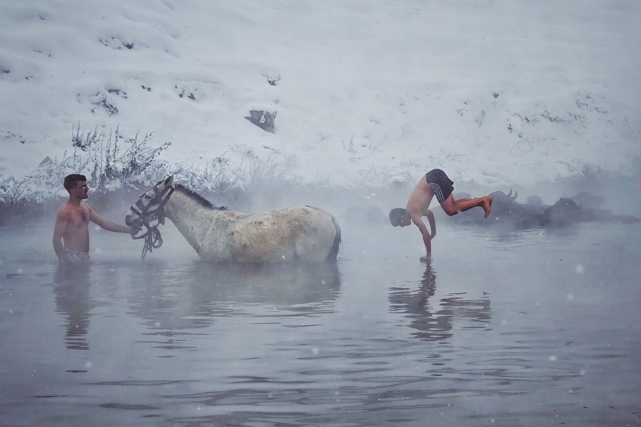 Whatsapp Image 2026 01 20 At 10.19.34