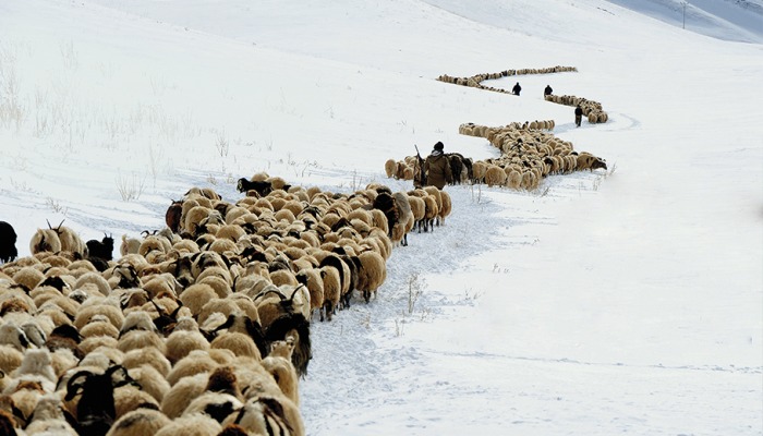 Whatsapp Image 2026 01 26 At 16.29.51 (1)