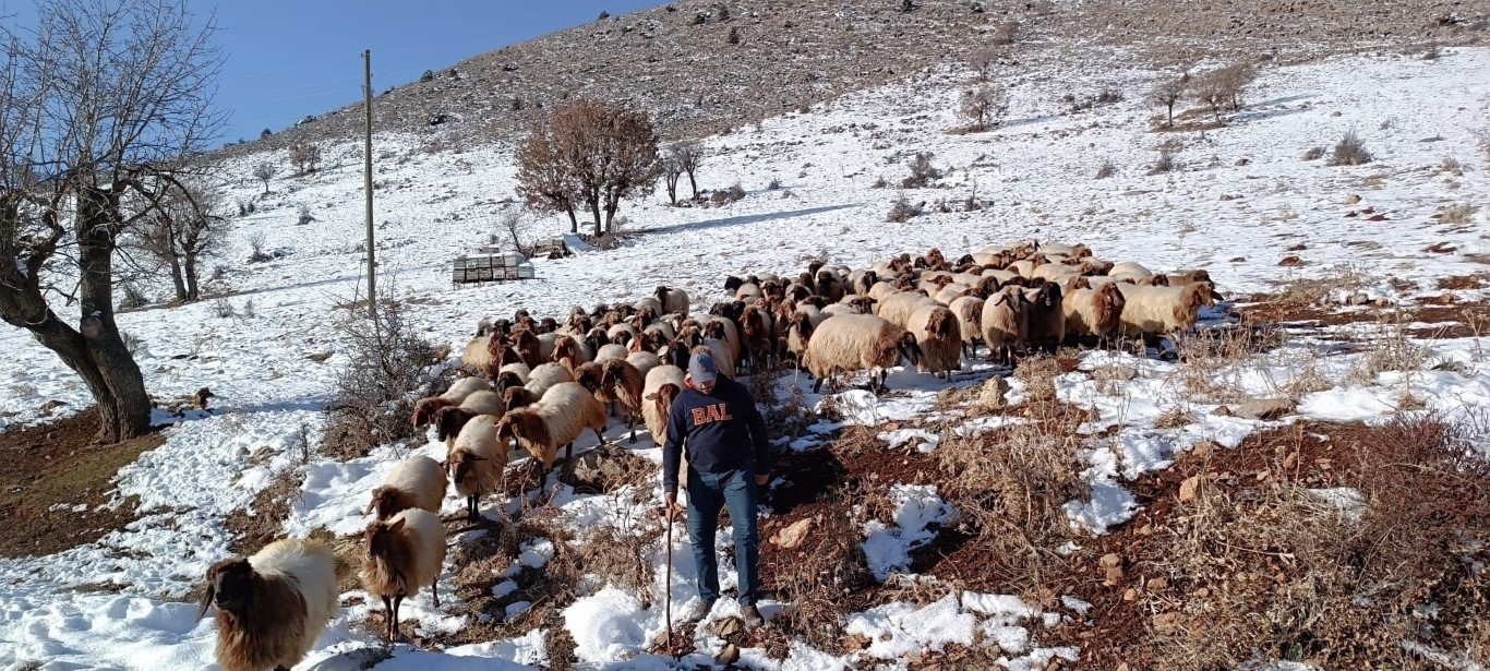 Whatsapp Image 2026 01 26 At 16.29.51 (3)