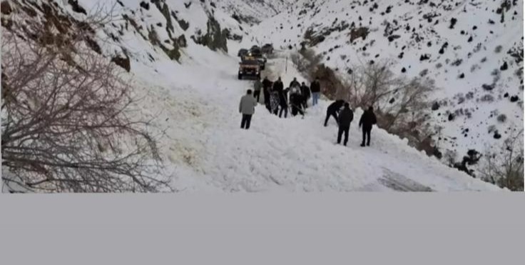 74B342D3 2147 45F7 84D2 5C27Cc7D67Bc