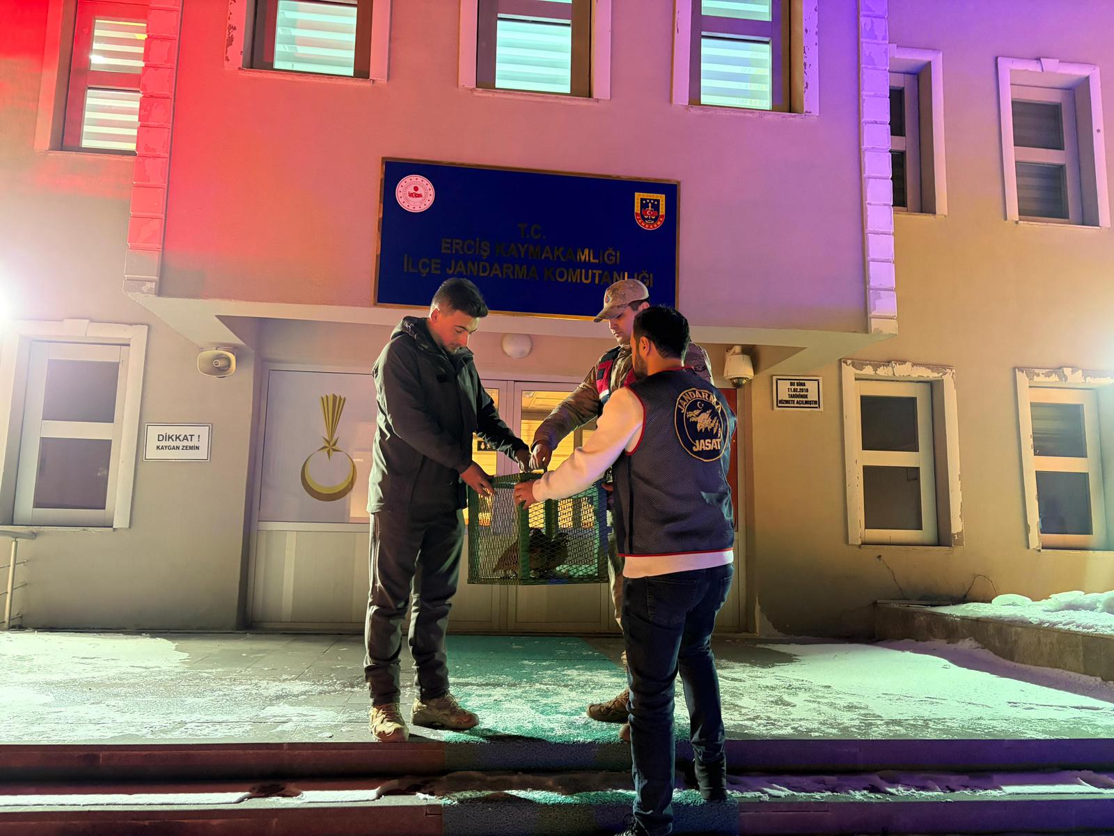 H A I Z Sb X Y A A G P13