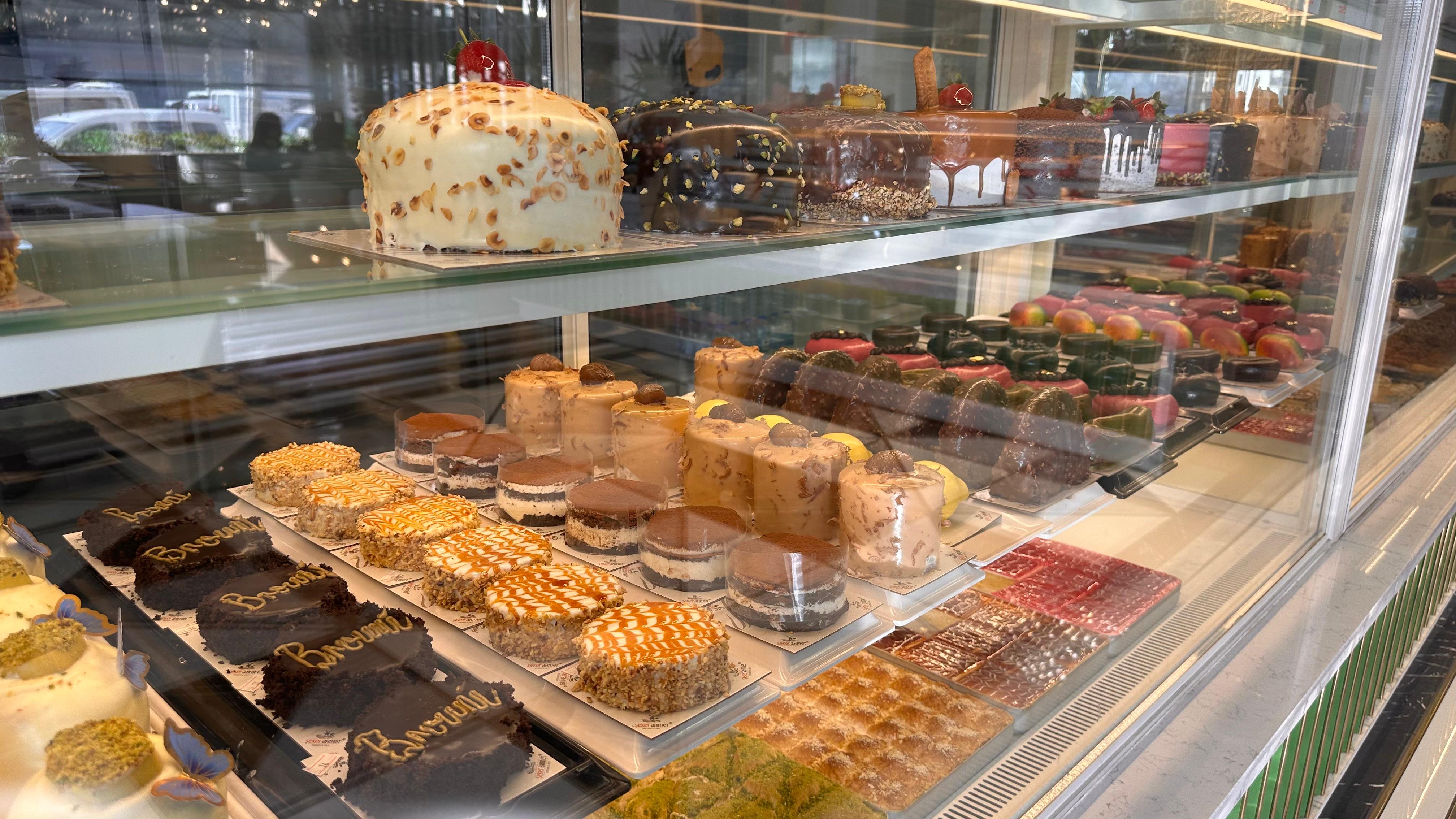 I M G 20260219 W A0017-1