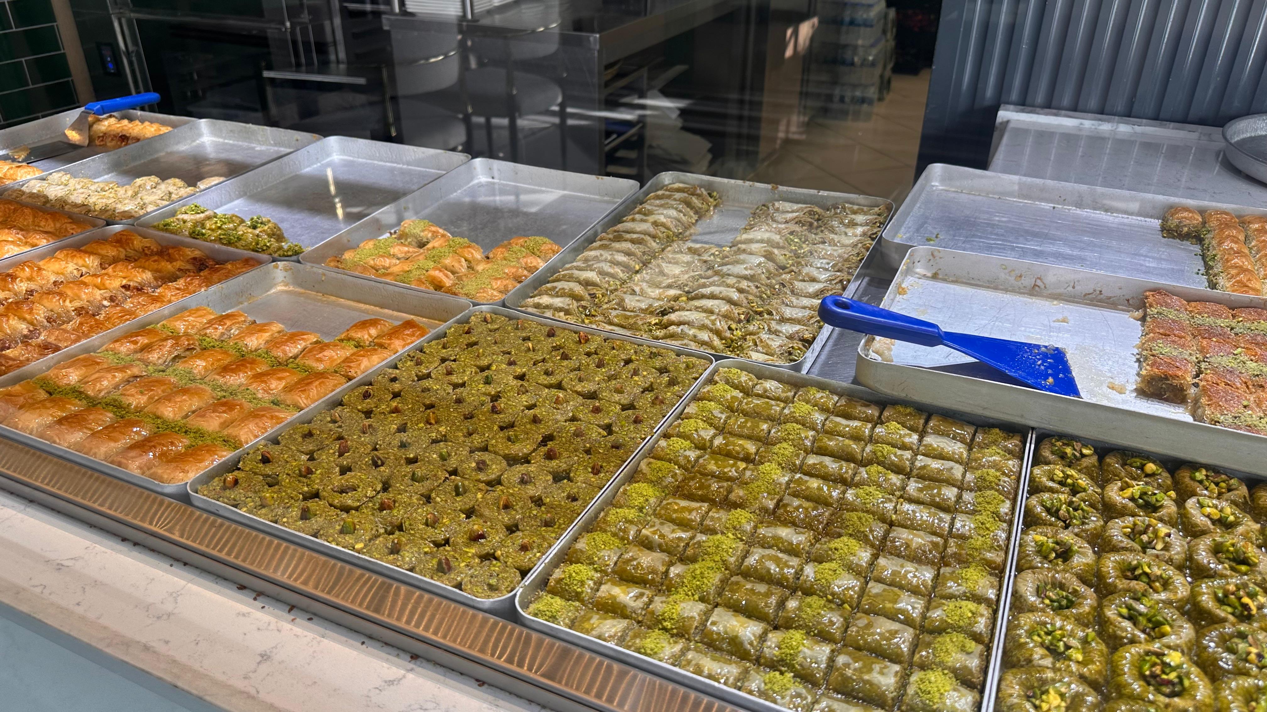 I M G 20260219 W A0018-1