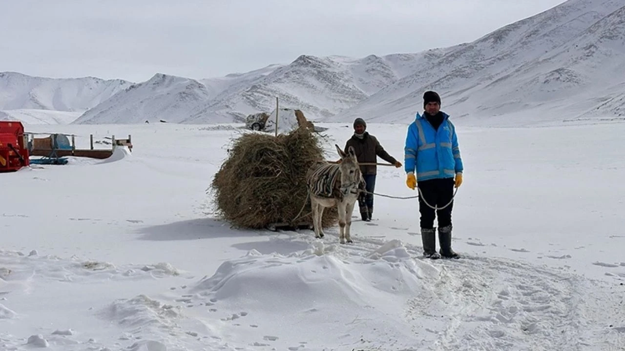 Vanda Beyaz Esaret Altinda Ekmek Mucadelesi