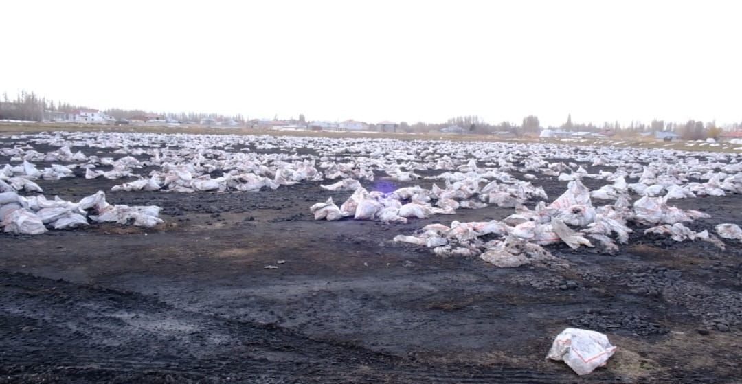 Whatsapp Image 2026 02 27 At 15.31.31 (2)