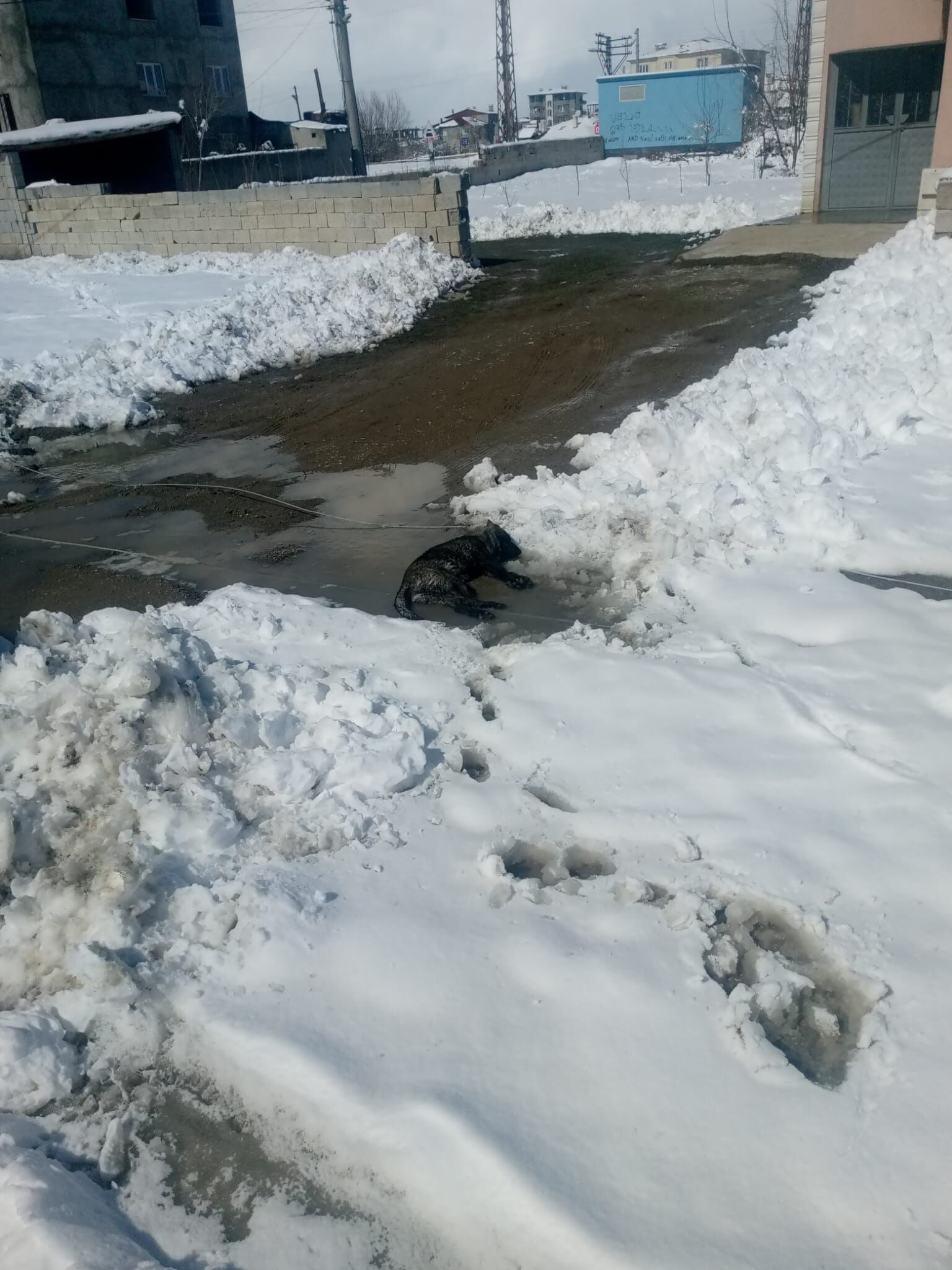 Whatsapp Image 2026 02 27 At 20.56.37