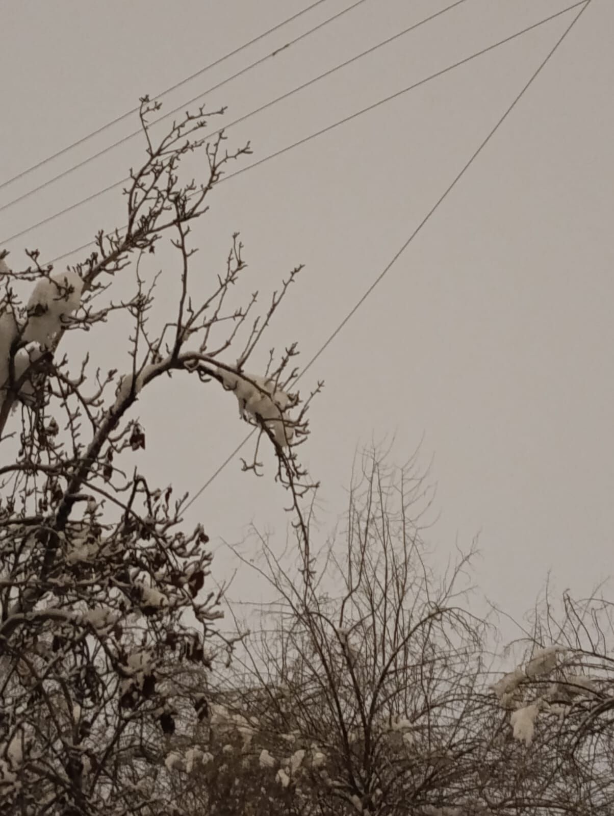 Whatsapp Image 2026 02 27 At 20.56.40