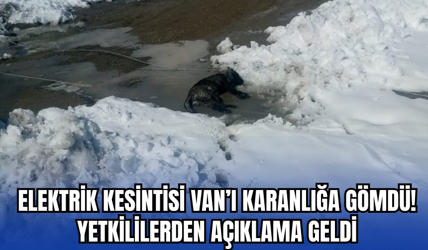 Van'da beklenmeyen kar yağışı elektrik kesintilerine neden oldu!