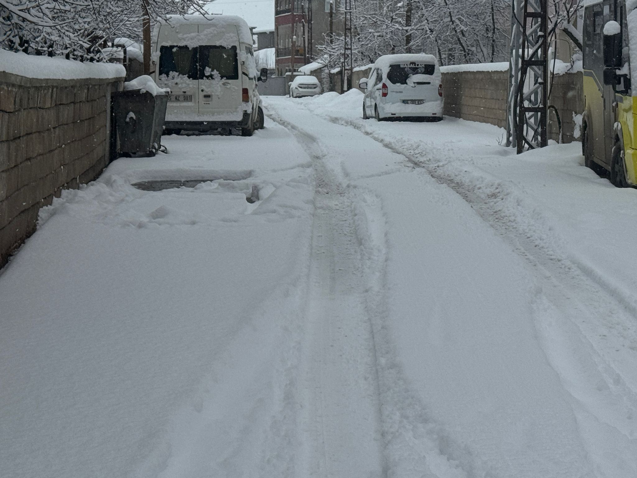 9Faaa9C3 Fe40 456F B588 C8A4445F8Fc2