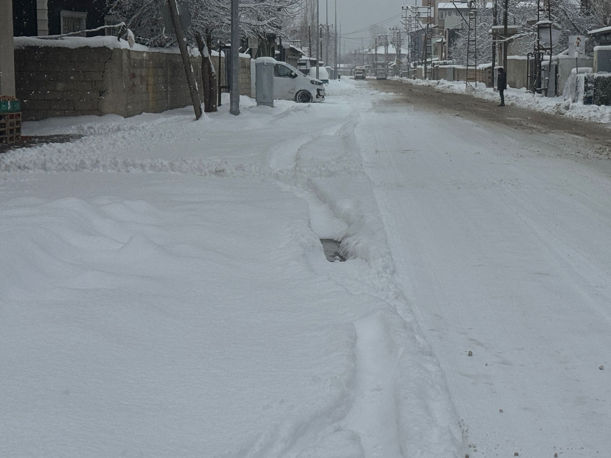 D78B257D F69D 4Ab4 8D5D Edfccb8A210E