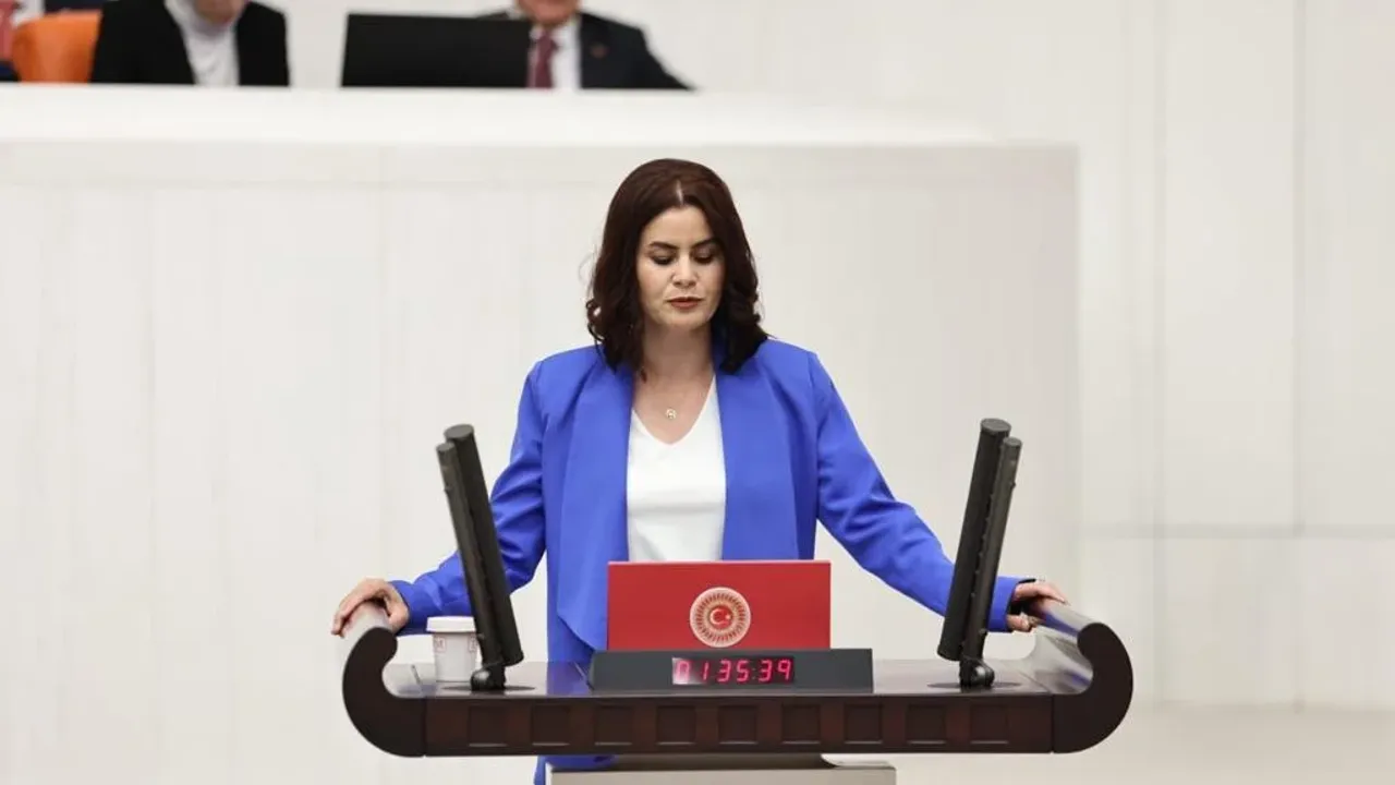 Gulcan Kacmaz Sayyigit 1