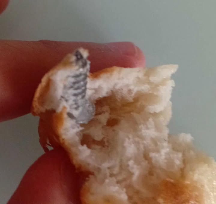 Ekmeğin İçinden Vida Çıktı