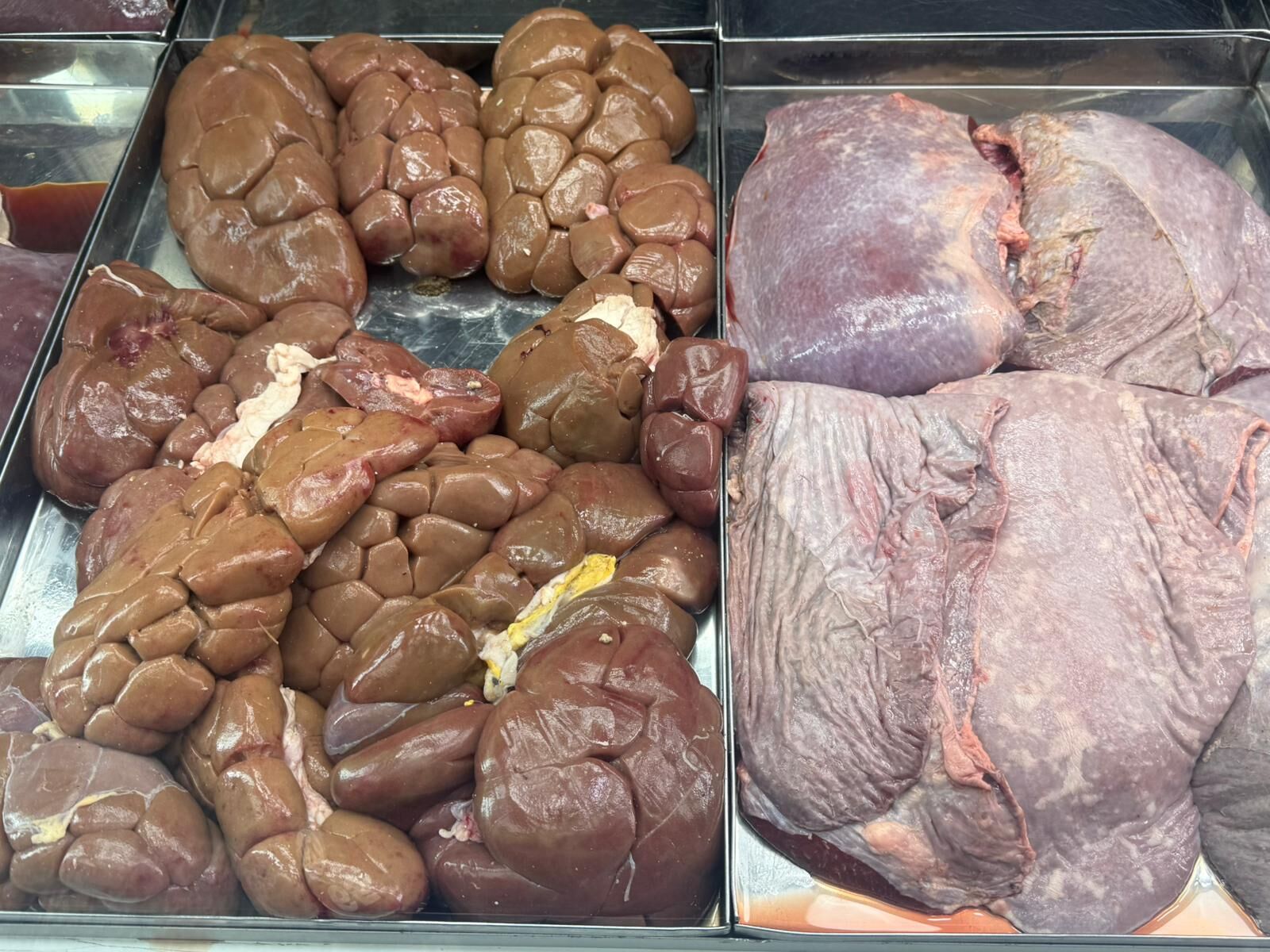 Whatsapp Image 2026 03 26 At 17.26.13