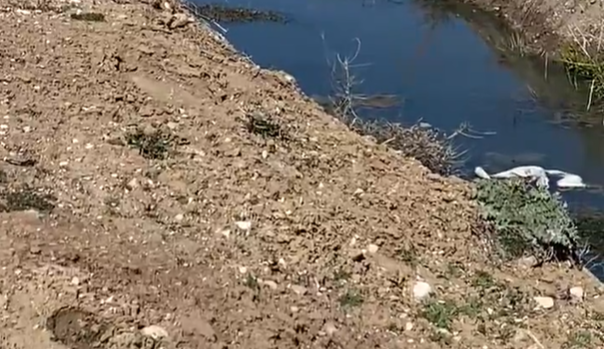 Ekran Görüntüsü 2026 04 03 071327