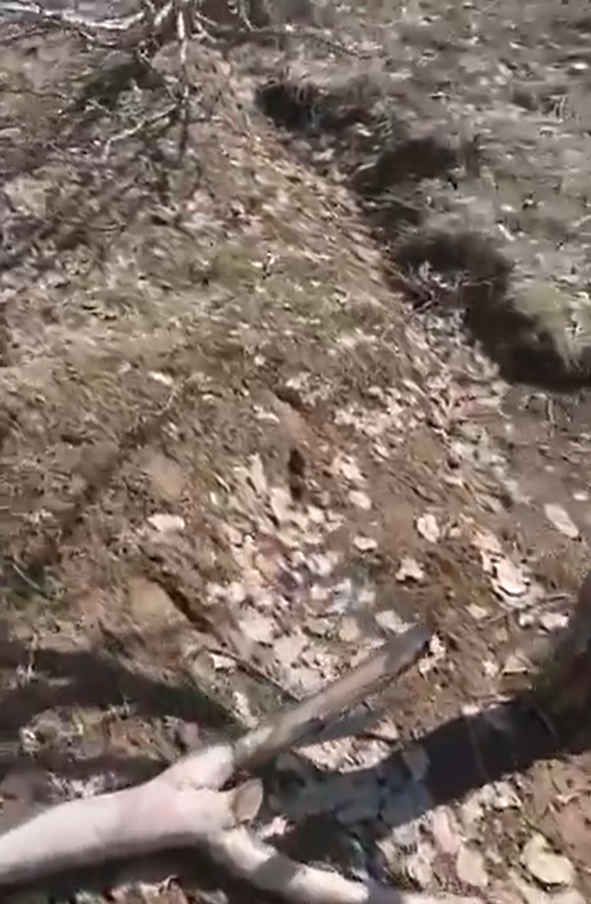 Ekran Görüntüsü 2026 04 03 122511