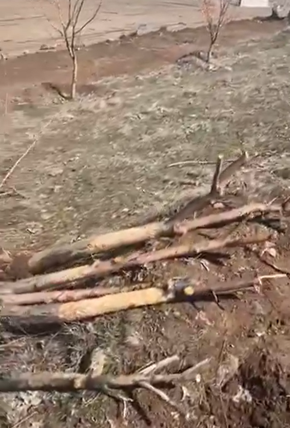 Ekran Görüntüsü 2026 04 03 122522