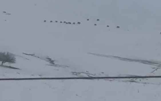 Ekran Görüntüsü 2026 04 12 191715