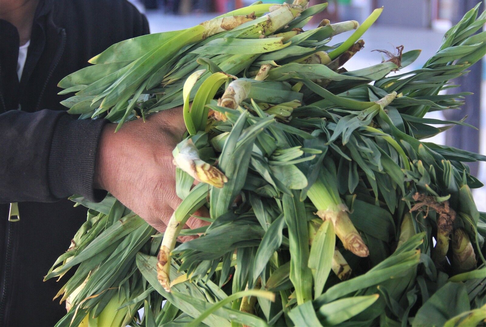 Erzincanda Baharin Gelmesiyle Ve Havalarin Iyice I 1619602235829