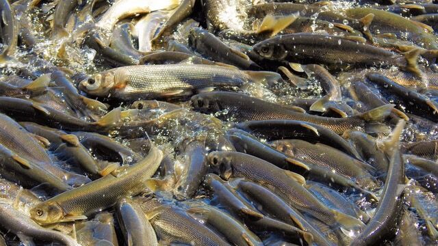 I M G 20240426 W A0071