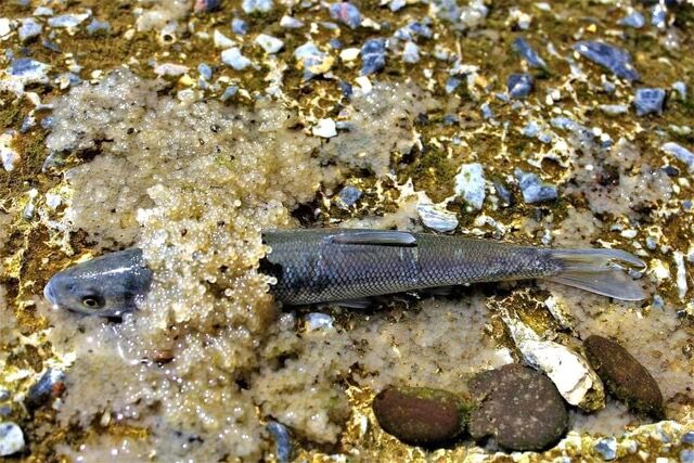 I M G 20240426 W A0088