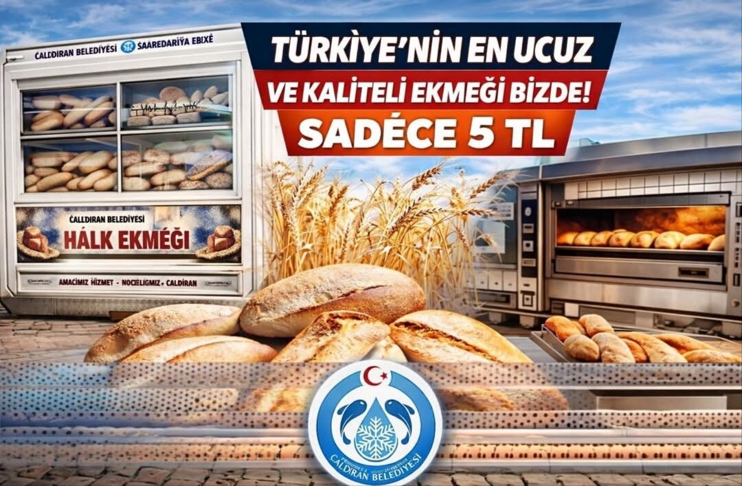 I M G 20260402 195701