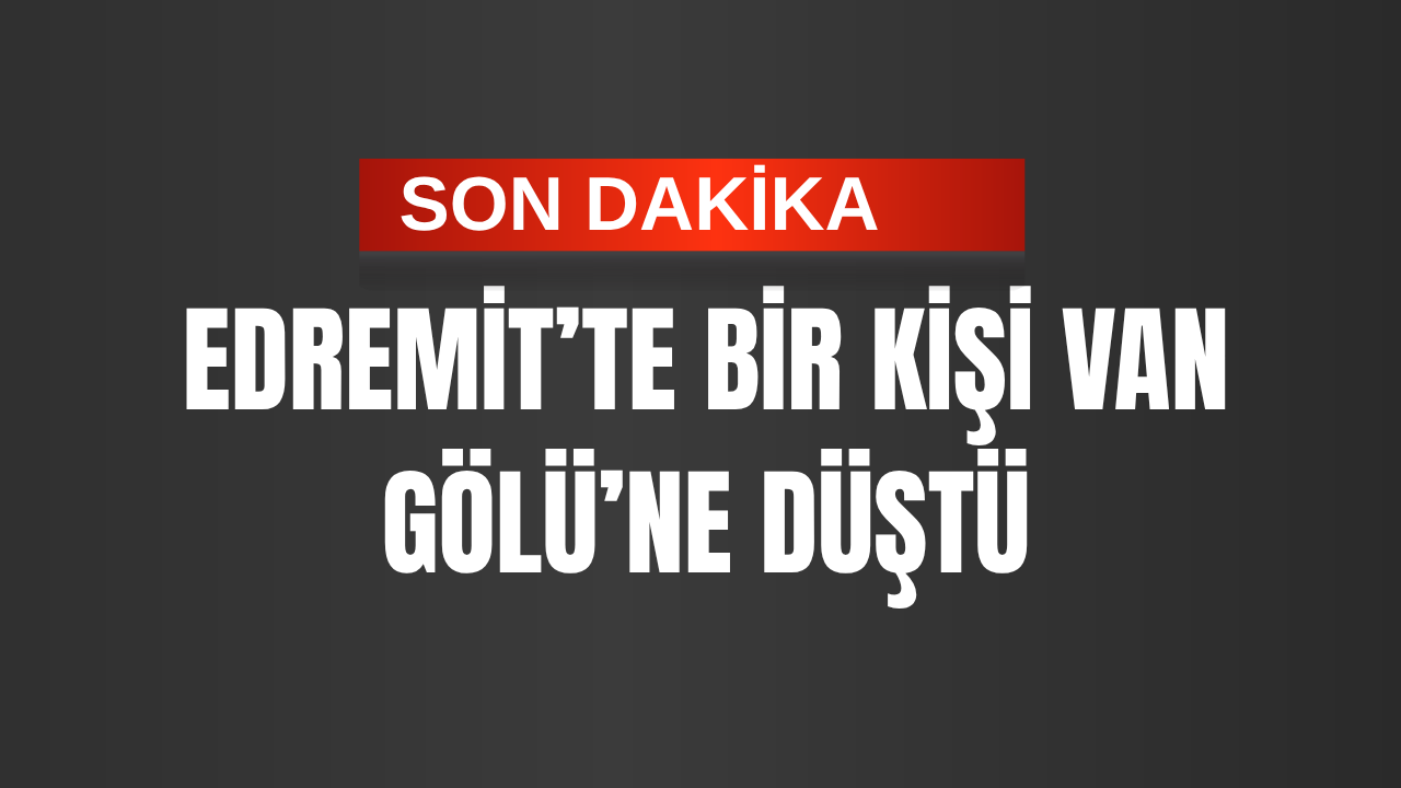 Son Dakika: Van Gölü’ne Düşen Şahıs  İçin Arama Çalışması Başlatıldı!