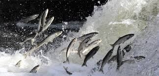 Images 2026 04 12T113844.209