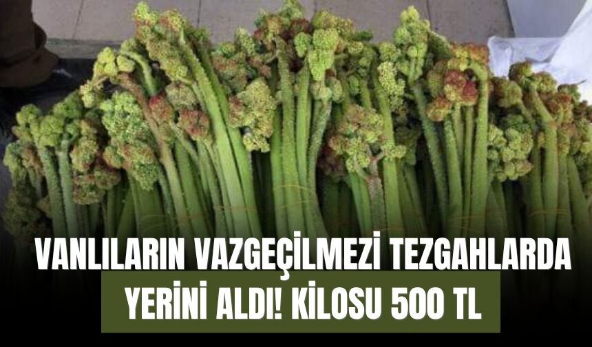 Vanlıların Vazgeçilmezi Tezgahlarda Yerini Aldı! Kilosu 500 TL