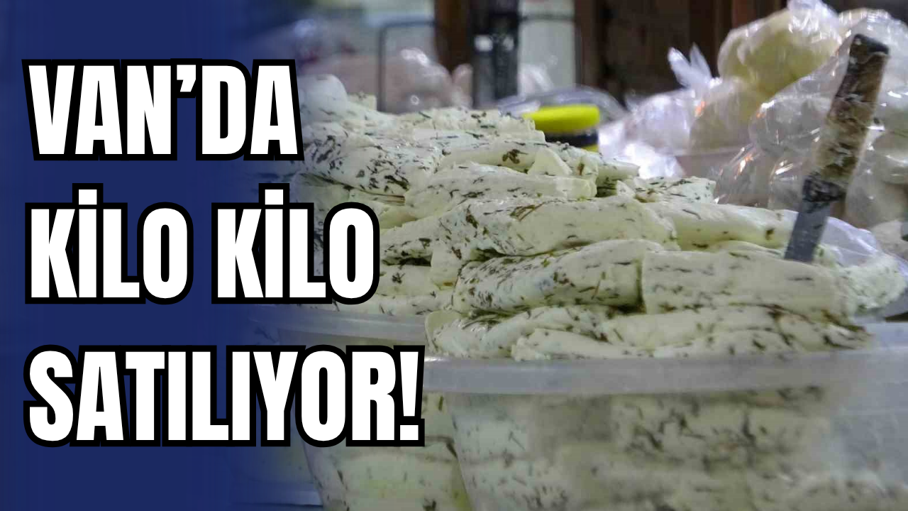 Van’da kilo kilo satılıyor! Kimi kalsiyum deposu diyor kimi zararlı!