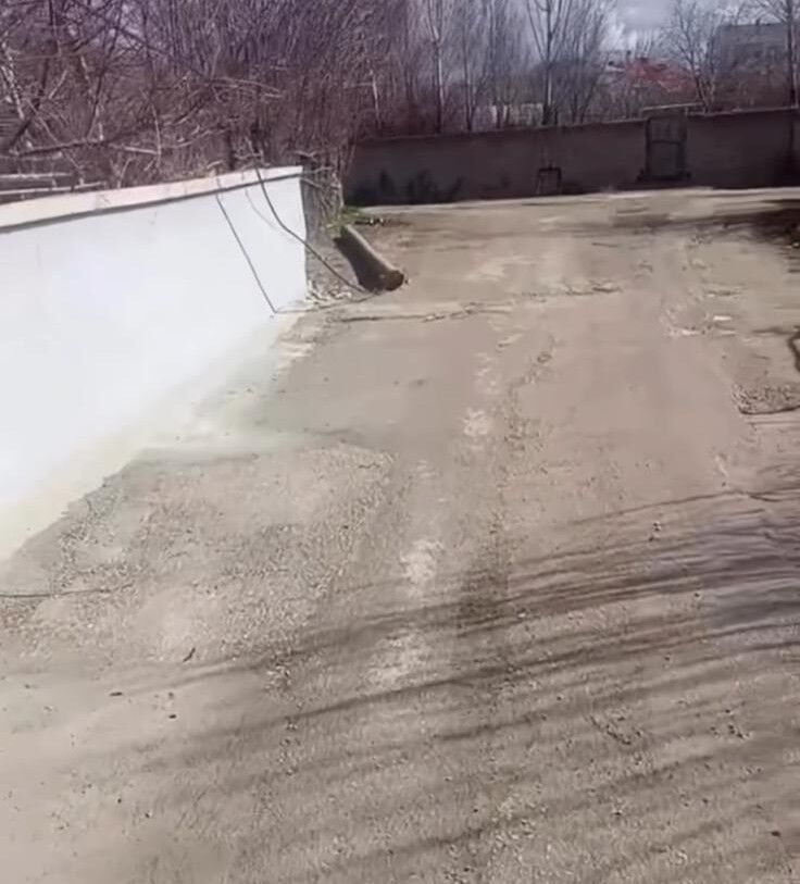 Whatsapp Image 2026 04 01 At 13.54.29