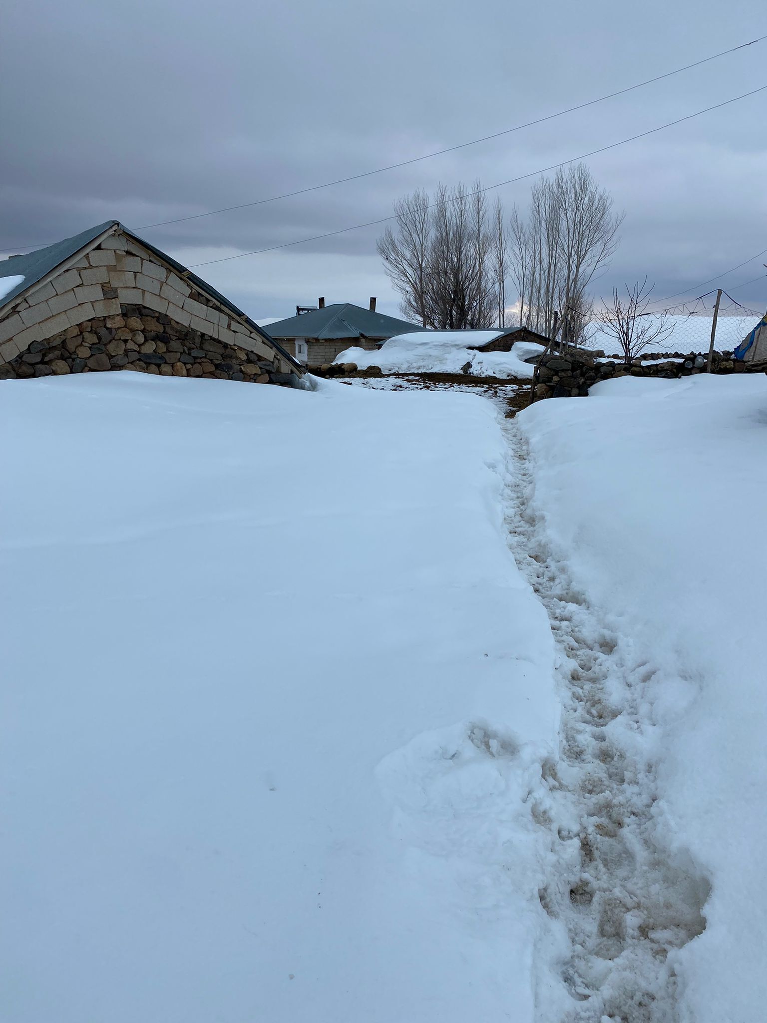 Whatsapp Image 2026 04 01 At 16.47.25 (1)