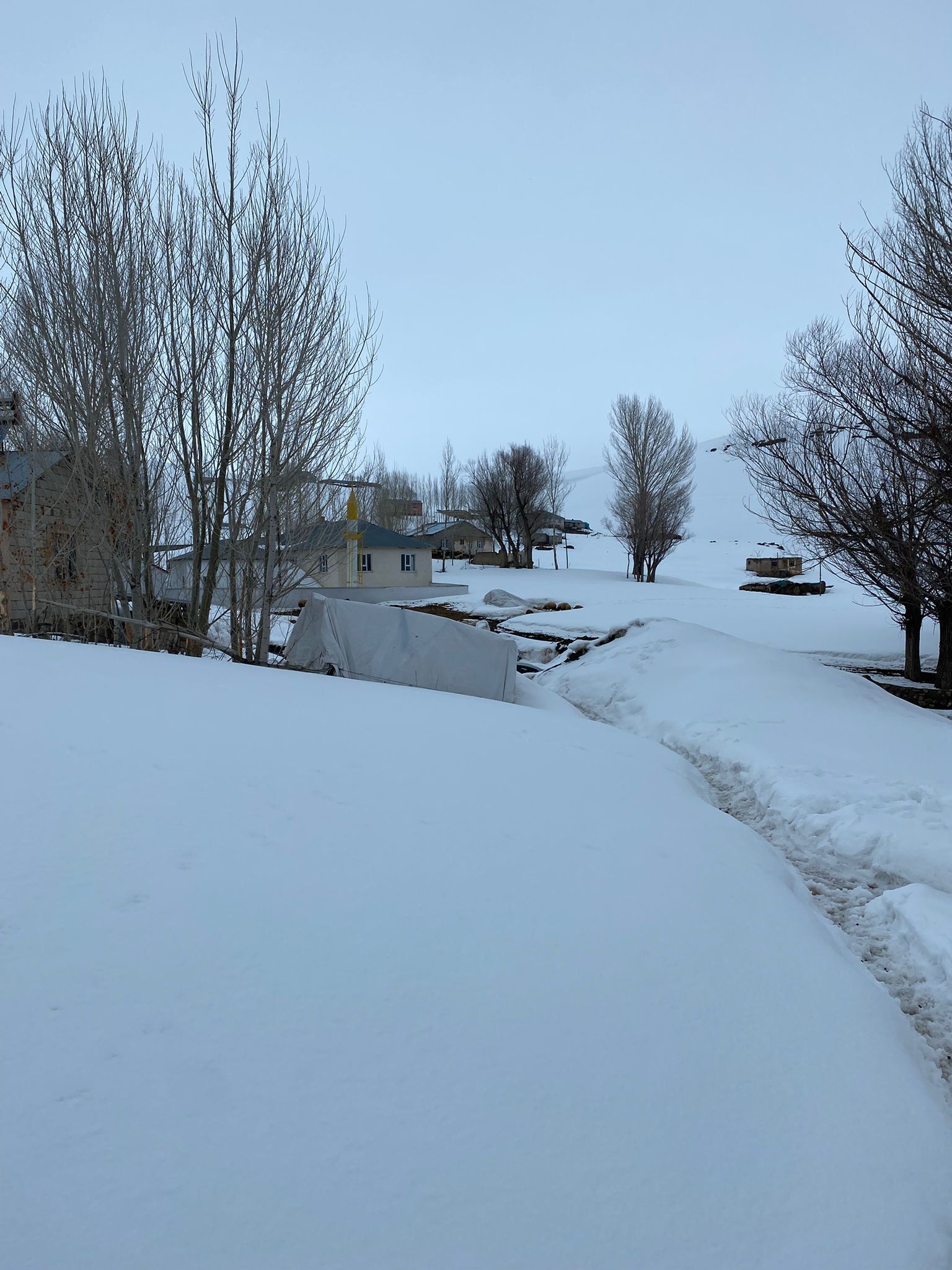 Whatsapp Image 2026 04 01 At 16.47.25