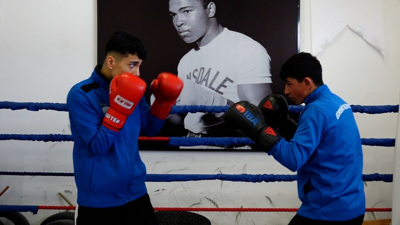 Whatsapp Image 2026 04 08 At 11.35.33 (3)