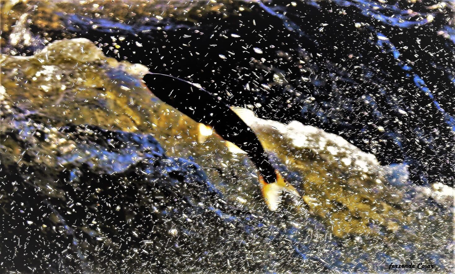 Whatsapp Image 2026 04 14 At 15.58.39 (1)