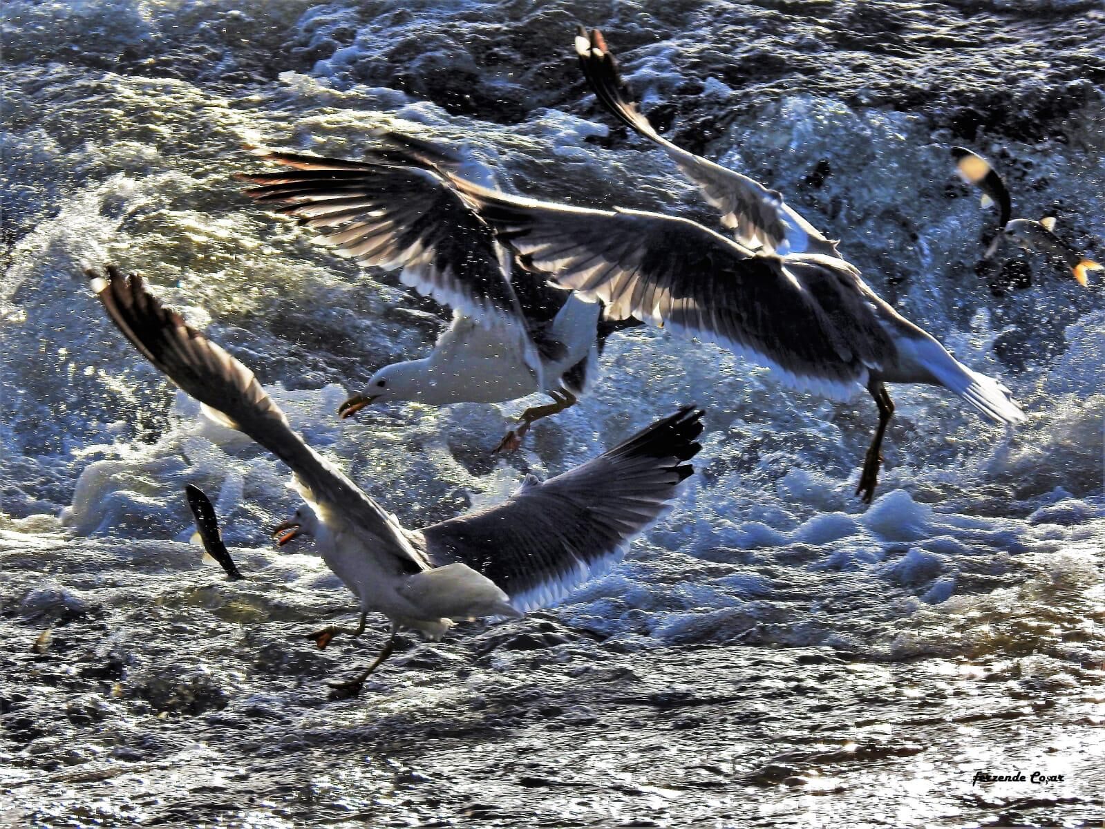 Whatsapp Image 2026 04 14 At 15.58.39