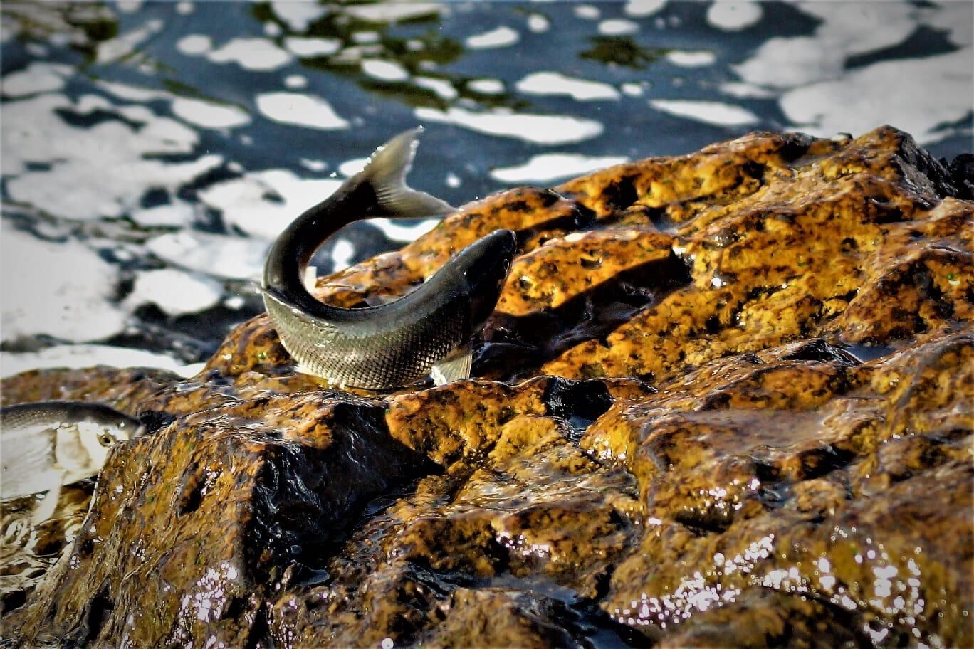 Whatsapp Image 2026 04 14 At 15.58.40 (1)