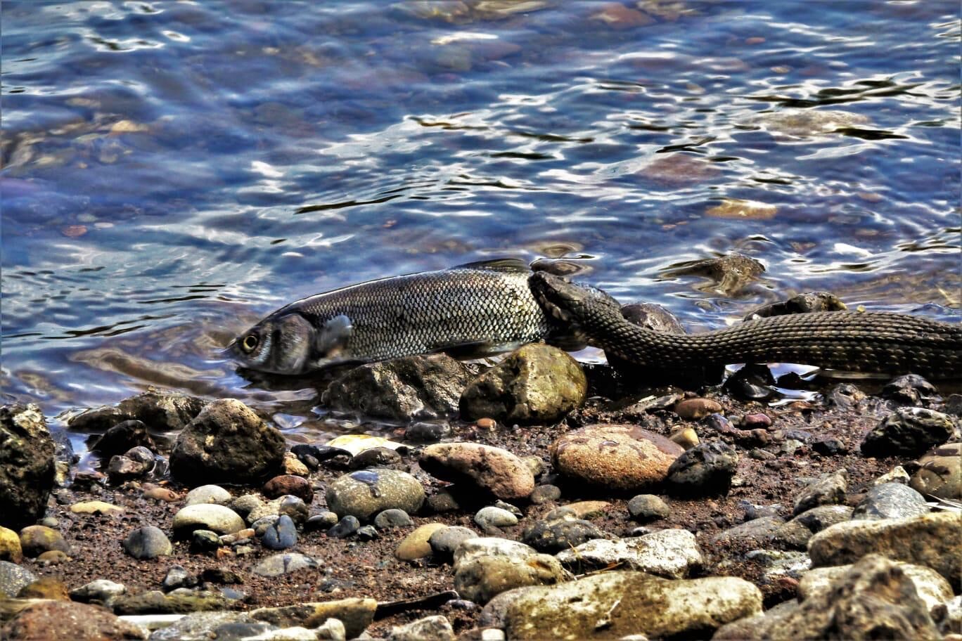 Whatsapp Image 2026 04 14 At 15.58.40