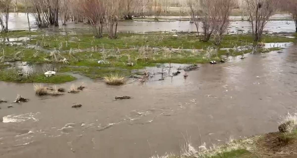 Whatsapp Image 2026 04 19 At 194551 69E5094E549E2