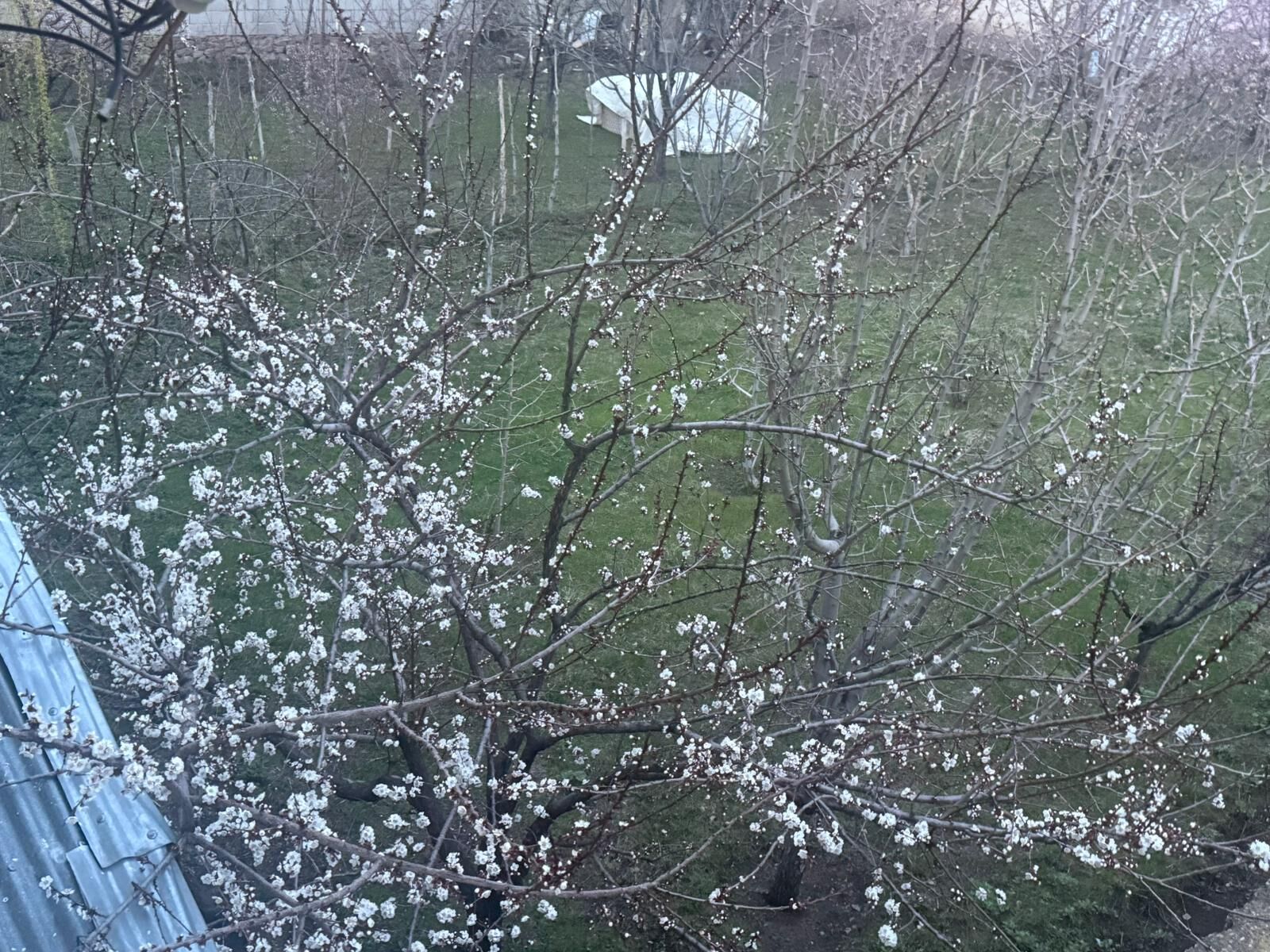 Whatsapp Image 2026 04 26 At 21.09.18