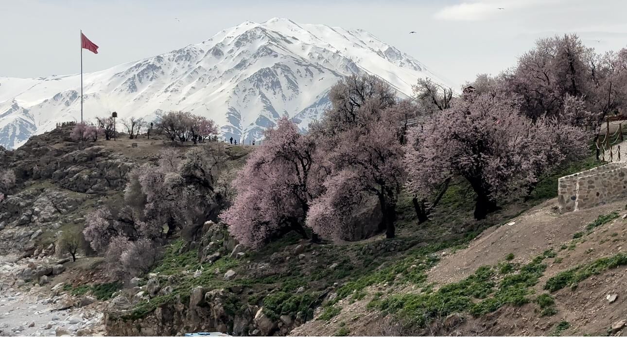 Whatsapp Image 2026 04 27 At 10.39.16