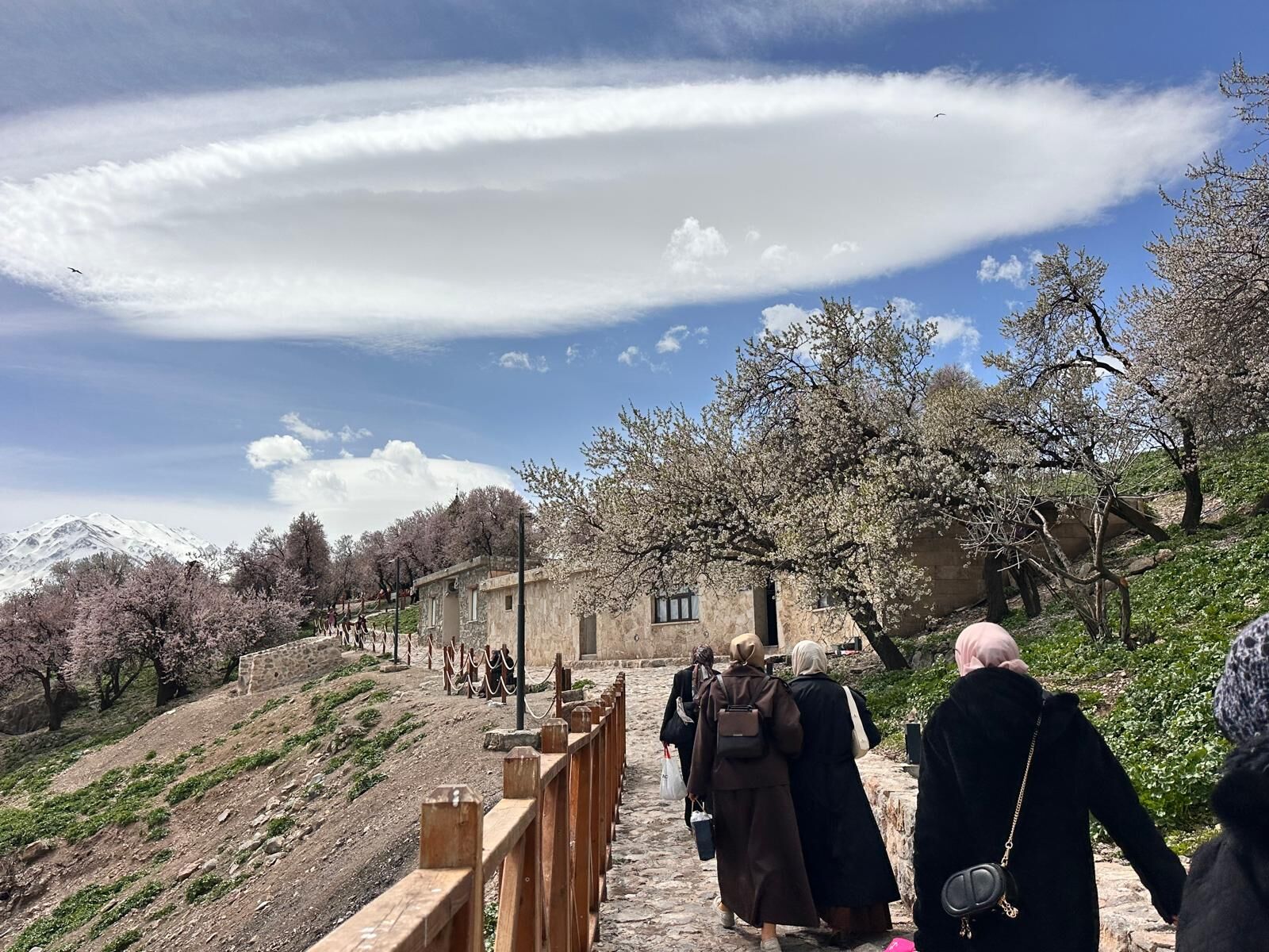 Whatsapp Image 2026 04 27 At 10.39.24