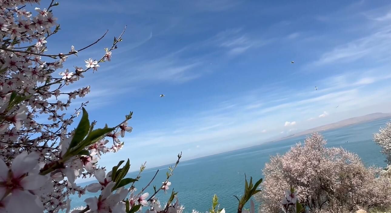 Whatsapp Image 2026 04 27 At 10.42.55