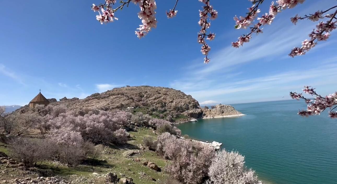 Whatsapp Image 2026 04 27 At 10.43.21