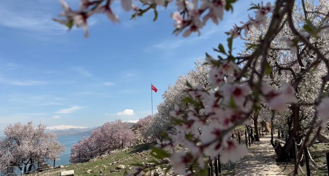 Whatsapp Image 2026 04 27 At 10.44.45