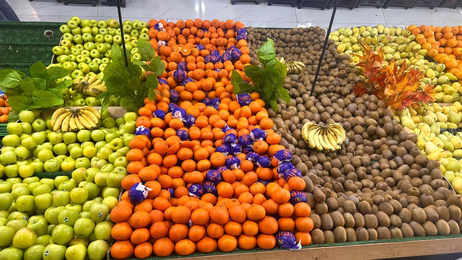 Whatsapp Image 2026 04 30 At 14.31.41 (2)