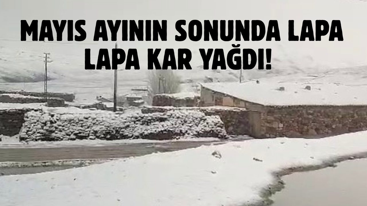 Van'da Mayıs Ayının Sonunda Lapa Lapa Kar Yağdı!