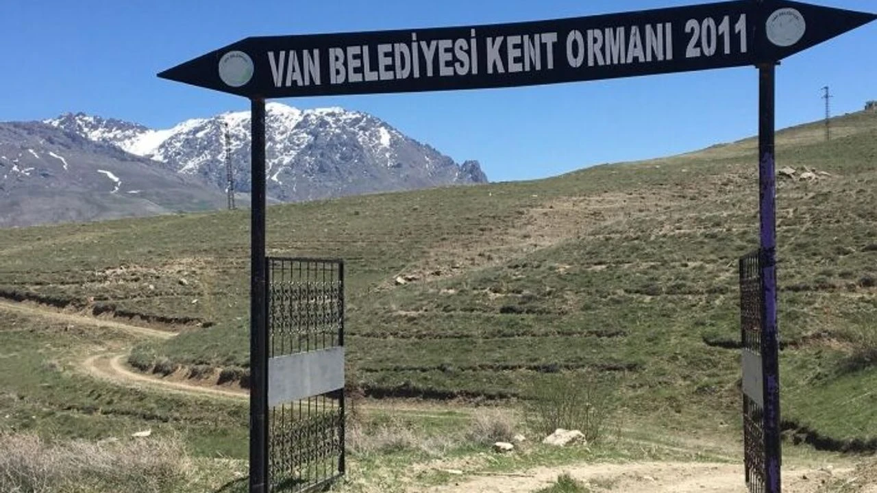 Vanda Orman Yok Denecek Kadar Az H60341 080Cc