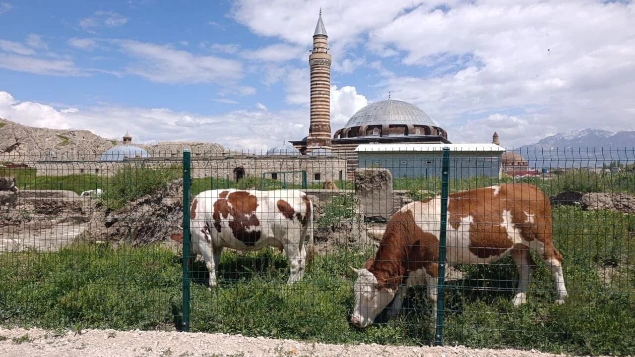 Vangolu Aktivistleri Derneginden Eski Van Sehri Icin Koruma Cagrisi