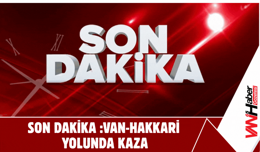 SON DAKİKA: Van-Hakkari Yolunda Kaza!